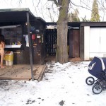 A walk through the park