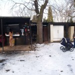 A walk through the park