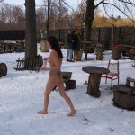 A walk through the park