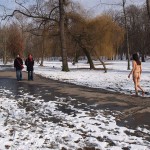 A walk through the park