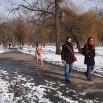 A walk through the park