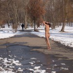 A walk through the park