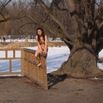 A walk through the park