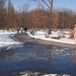 A walk through the park