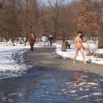 A walk through the park