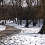 A walk through the park
