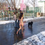 A walk through the park