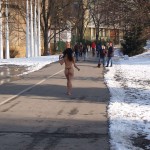 A walk through the park