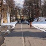 A walk through the park