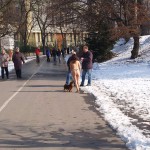 A walk through the park