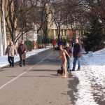 A walk through the park