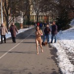 A walk through the park