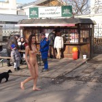 A walk through the park