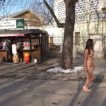 A walk through the park