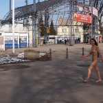 A walk through the park