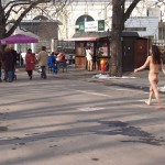 A walk through the park