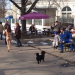 A walk through the park