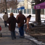 A walk through the park