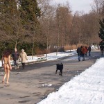 A walk through the park