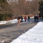 A walk through the park