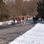 A walk through the park