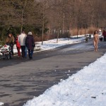 A walk through the park