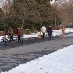 A walk through the park