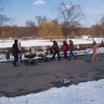 A walk through the park