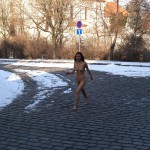 A walk through the park