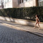 A walk through the park