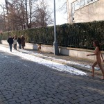 A walk through the park