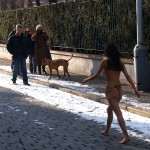 A walk through the park