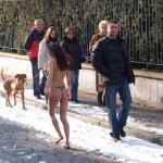 A walk through the park