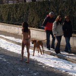 A walk through the park