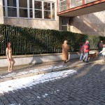 A walk through the park