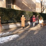 A walk through the park