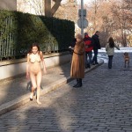 A walk through the park