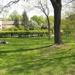 At and around a central leisure area