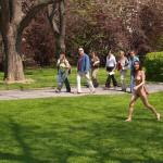 At and around a central leisure area