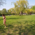 At and around a central leisure area