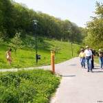 At and around a central leisure area