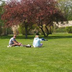 At and around a central leisure area