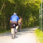 Playing beach volleyball and riding a bike