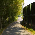 Playing beach volleyball and riding a bike