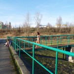 On and next to a road