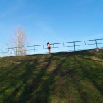 On and next to a road