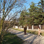 On and next to a road