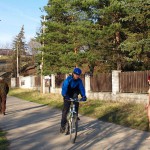 On and next to a road