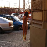 A bar in the city center