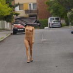 Talking up passers by